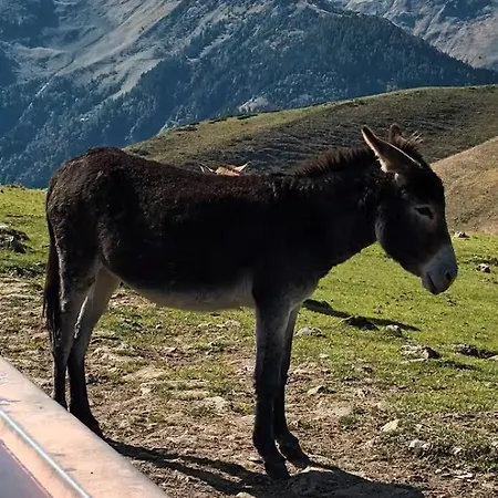 La Maison Bleue Des Pyrenees *